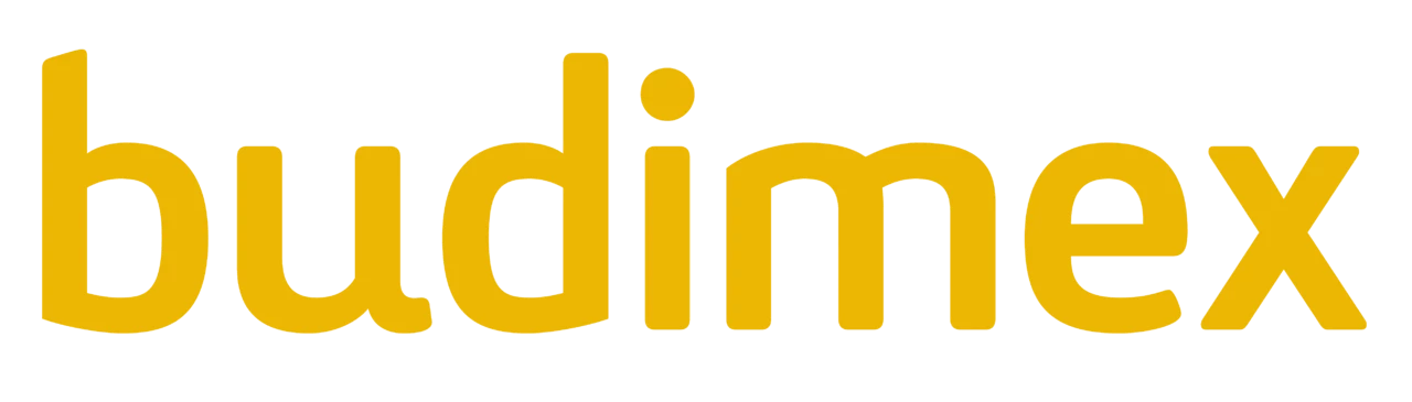 Logo Budimex